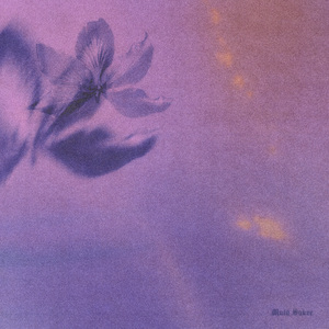 圣采儿的拉尿部位
